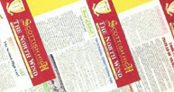 school-newsletter