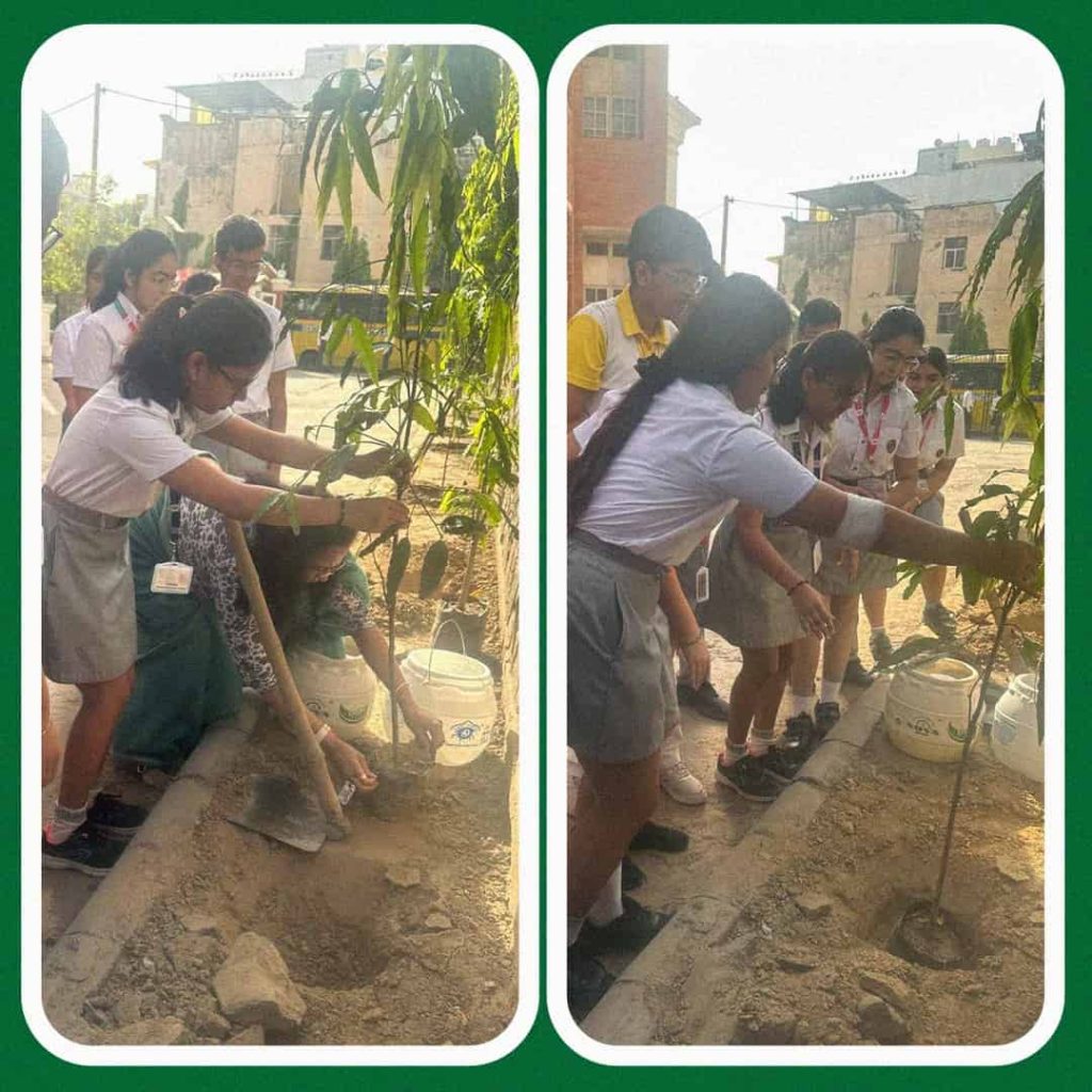 highlanders on earth event day