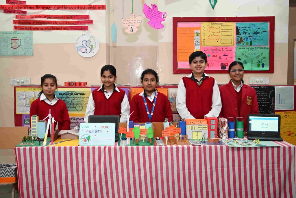 shis grade 5 pyp exhibition